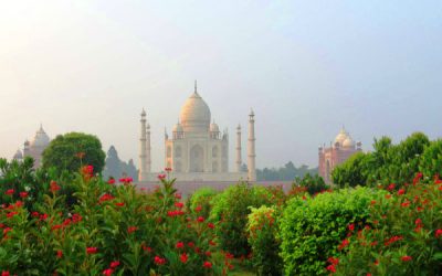 Gaze the beauty of Taj by this new viewpoint